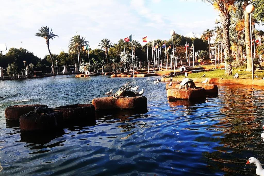 Adventure Harbour Apartman Torrevieja Kültér fotó