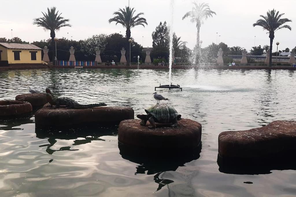 Adventure Harbour Apartman Torrevieja Kültér fotó